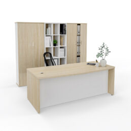 Discovery Executive desk