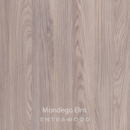 Mondego Elm