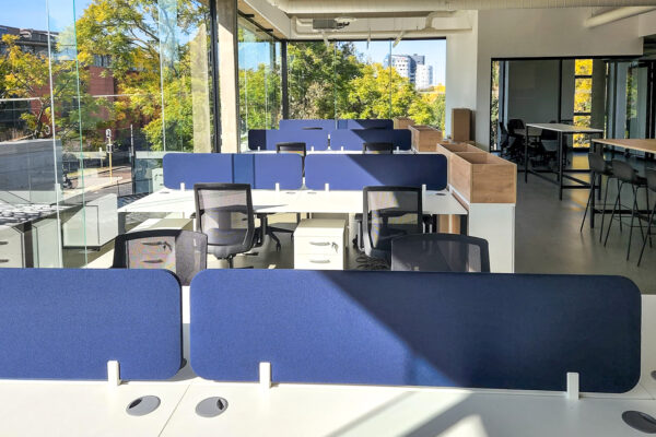 Entrawood-DesignColab-installation-June2022-9