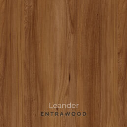 Leander
