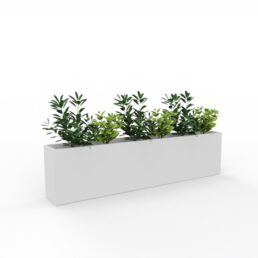 Planter Boxes
