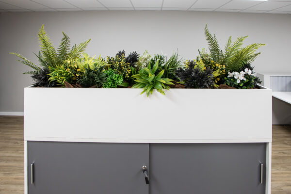 alignstudio_zf92 (4 of 33)